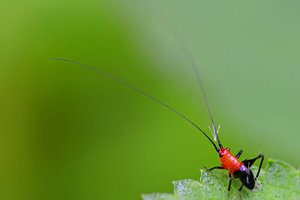 海城市燈具照明有限責任公司