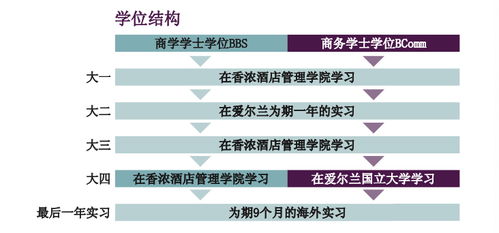 為何選擇愛爾蘭香儂酒店管理學院 開啟卓越酒店管理職業(yè)生涯的明智之選